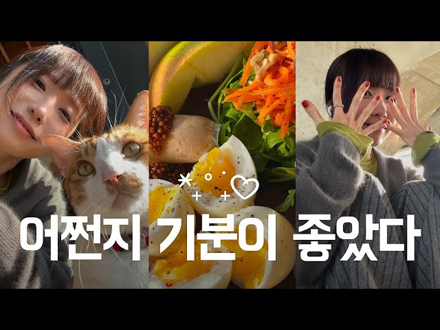 방구석에서 뭐해? 좀 나가자 가을 피크닉🐿️ / 서귀포니? 그럼 천일만두 가야지~😋 / 포만감 빵빵 오나오 레시피🩵
