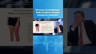 Мышцы, напряжение которых симулирует остеоартроз