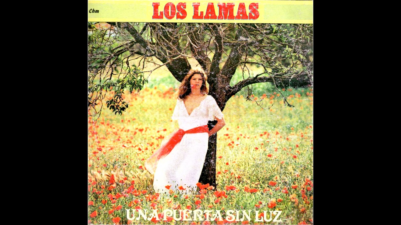 LOS LAMAS ENGANCHADO UNA PUERTA SIN LUZ