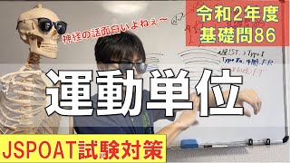 146話【運動単位】R2理論試験対策基礎問86