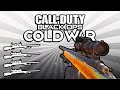 Quad Feed with Every Gun! (Call of Duty: Black Ops Cold War)