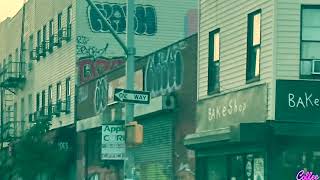 (Some) Flushing Ave 886 Flushing Ave Unit 1l