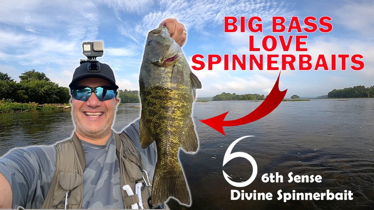 BIG BASS LOVE SPINNERBAITS #6thsensefishing #smallmouthbassfishing #fishing