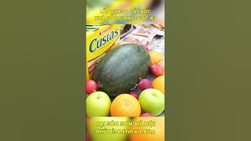 #3 Lắp Dựng-Cất Nóc Nhà Gỗ 3 Gian Sóc Sơn, Hà Nội 0973812666 #nhago3gian #nhathoho #nhago #tuduong