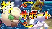 シルヴァディ育成論対策 持ち物性格 技構築 戦い方 徹底解説 ポケモン育成論 ポケモン剣盾 シルバディ Youtube