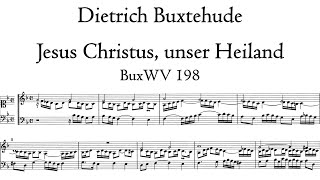 Buxtehude - Jesus Christus, unser Heiland, BuxWV 198 - Schnitger Organ, Martinikerk, Hauptwerk