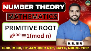 Celebrity Primitive Root | Number Theory | Mathematics | CSIR NET, IIT JAM, GATE, NBHM, TIFR | N.B. SIR Net Worth