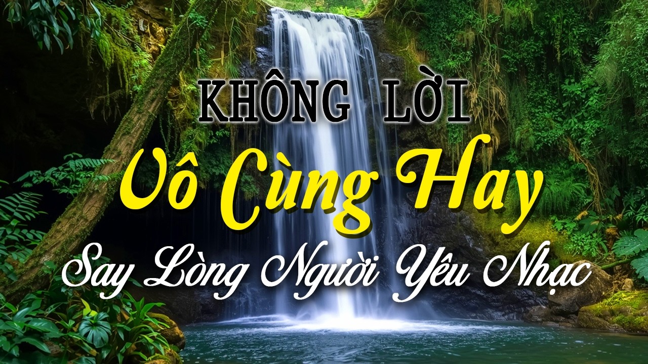 Nhạc Không Lời Vô Cùng Hay Làm Say Lòng Người Yêu Nhạc, Tuyệt Phẩm Giúp Giải Tỏa Căng Thẳng