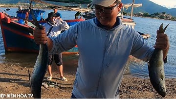 [[[[[ 🎣 MỘT VÒNG ĐẢO HÒN KHÔ PHÚ YÊN  FISHING✔