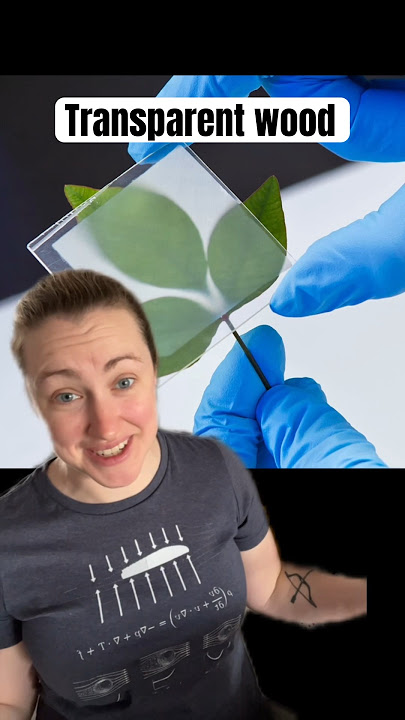 Transparent wood is a stronger alternative to glass and plastic #science