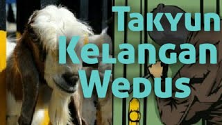 TAKYUN - Kelangan Wedus