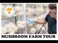 Fresh from the farm fungi mushroom farm tour 2021