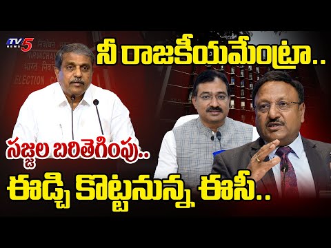 తాట తీస్తాం.. | BIG SHOCK To YSRCP Sajjala Ramakrishna Reddy | AP CEO Mukesh Kumar Meena | TV5 News - TV5NEWS