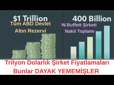 Türkiyede nin En Büyük Maddi Varlığı Ne Kadarlık Emlağı Var ? Dünyada Nakit Krizi Büyüyecek mi?