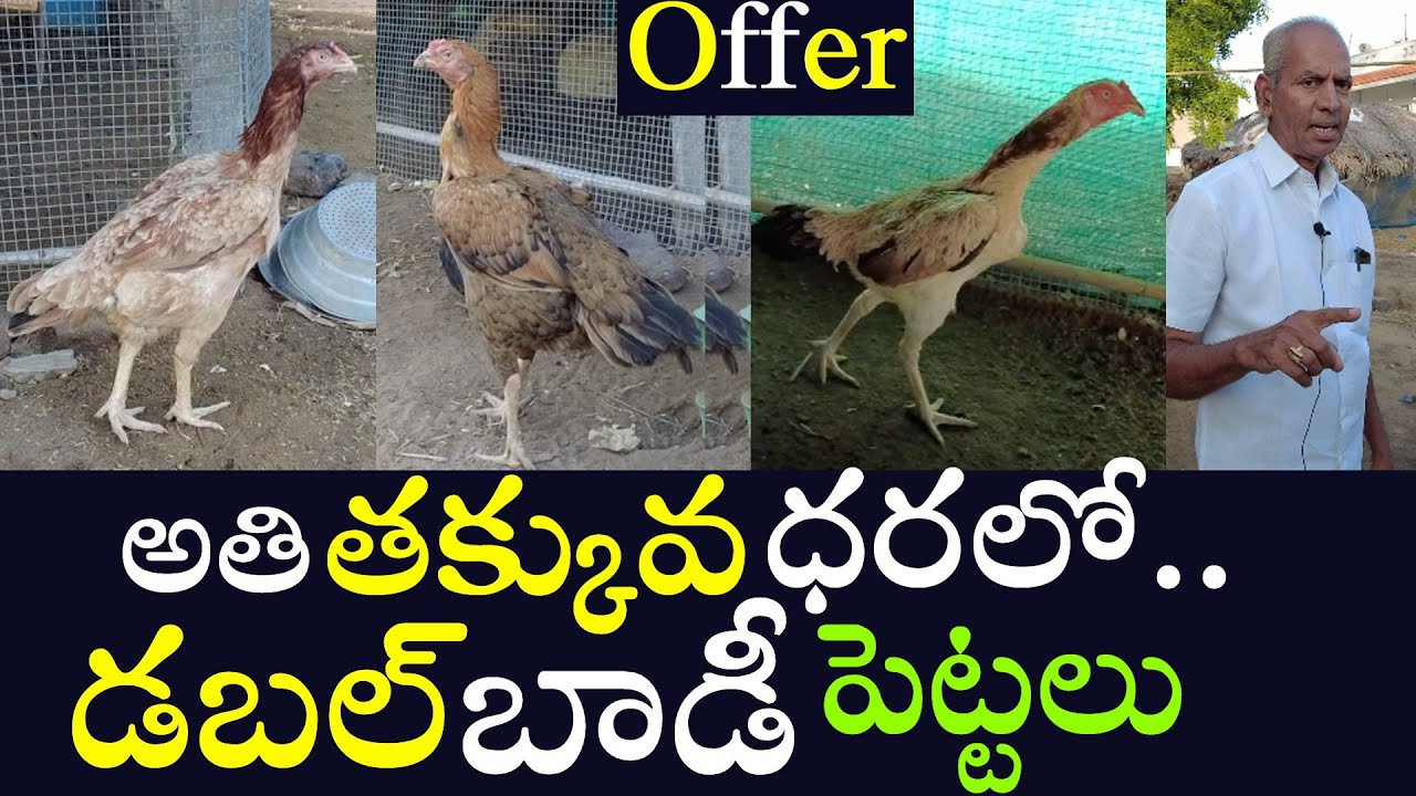 పేద వారు కూడా కొనాలనే ||పెట్టలు|| తక్కువ ధరకి ఇస్తున్నాను..Double Body Metta Vatam Pettalu..