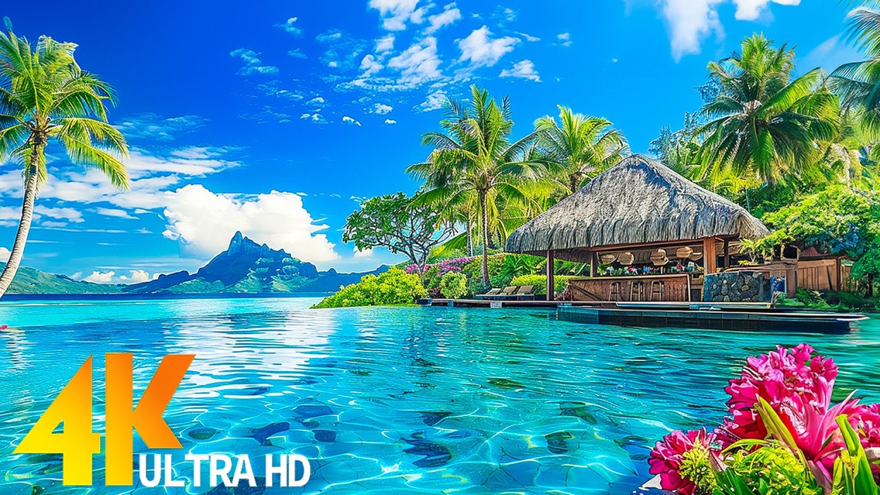 [4K 60FPS] При прослушивании этой музыки уйдет весь стресс 🌿 Мягкая ...