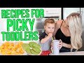 Recipes for Picky Toddlers!
