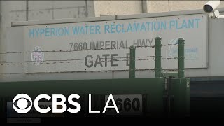 Famous Vector control officials lay traps as mosquito infestation continues to place El Segundo residents Net Worth