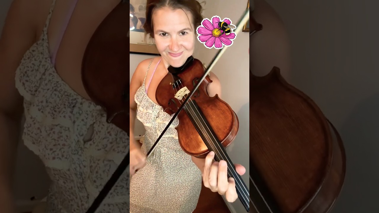 Summer ! #violin #music #violinist #classicalmusic