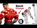 Top 6 Effective Back & Tricep Workout