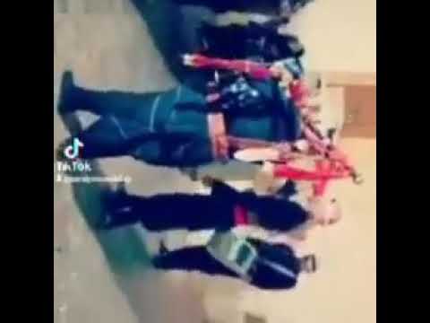 الشلول لزفاف العرسان محمود0788561306