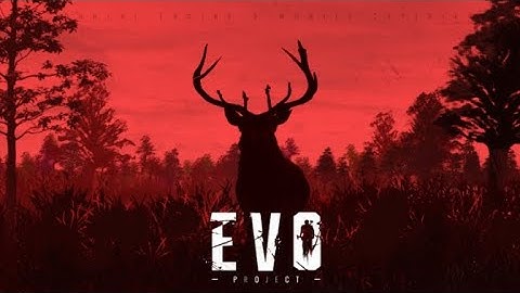 PROJECT EVO BETA STARTED. Get Activation Codes for Project Evo.