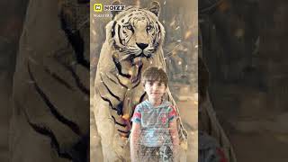 Mənalı Və Maraqlı Whatsapp Statuslari 2021Uşaqlar Üçün Maraqlı Videowhatsappdurumstatusucun Video