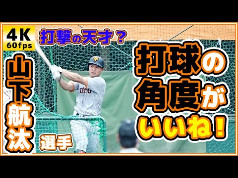 巨人山下航汰選手の復調は近い!?打球の角度がいいね!三軍試合前練習見学 読売ジャイアンツ japan baseball 读卖巨人军 yomiuri giants α7siii 4K 60fps