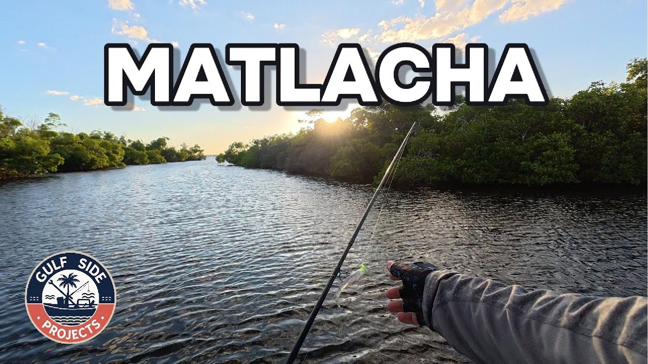 Matlacha Pass Florida Fall Fishing in Heavy Wind | Topwater Strikes and Tarpon Sightings