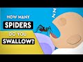 Do We Really Swallow 8 Spiders In Our Sleep Every Year?