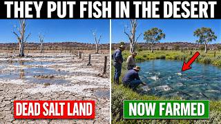 Australia Stopped Removing the Salt From This Dead Farmland — What They Put In Instead Was Unreal