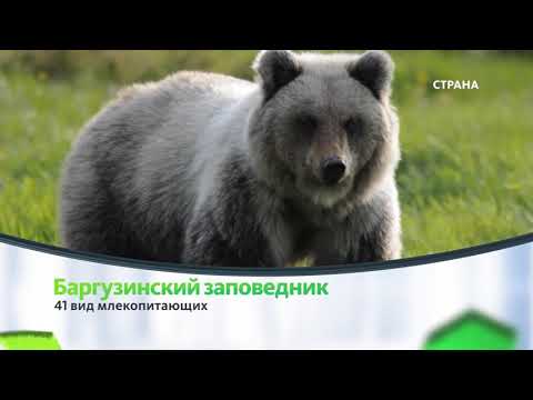 Баргузинский заповедник | Природа | Телеканал "Страна"