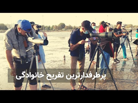 پرطرفدارترین و گران ترین گردشگری پرنده نگری