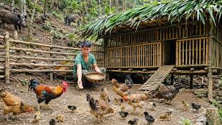 Alone in the Green Forest: Chicken Coop Repair and Dangerous Night Hunting