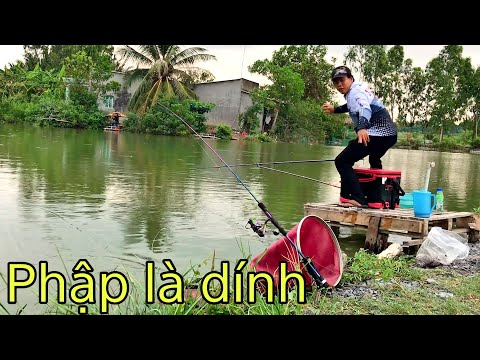 Video ✅ Đem cần câu cá mini TORO câu hồ giải trí 50k Bình... - youtube