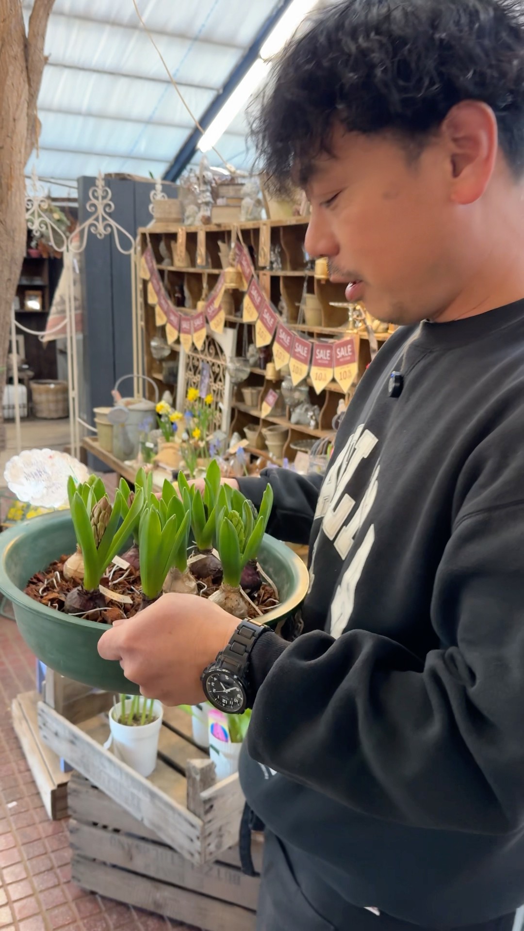 Respect for Sanibel‼️#shorts #gardening #horticulture #bulbs