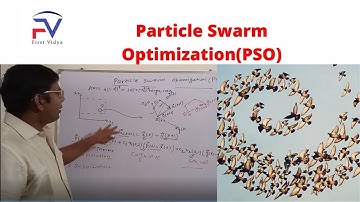 Particle Swarm Optimization(PSO)