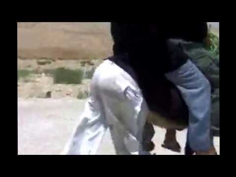 حمار يلبس بنطلون في اليمن مع اغنية امشي يا حبيبي 