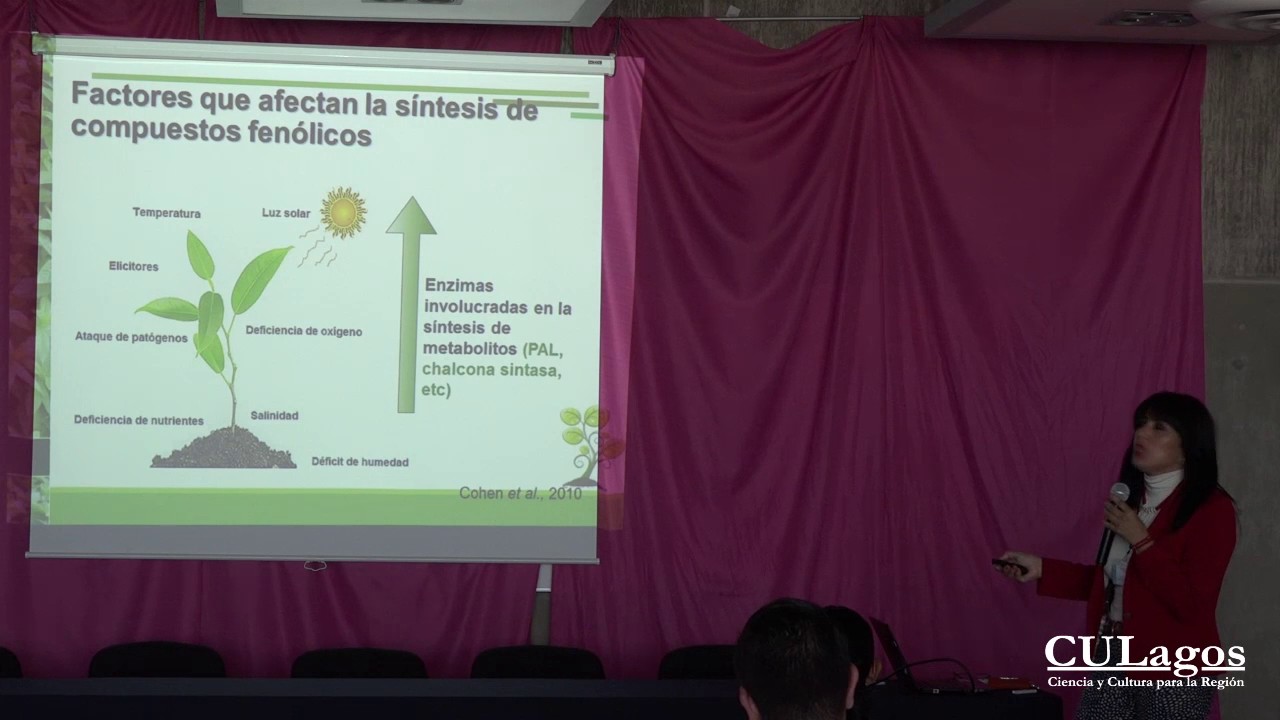 2015 CULagos III CICyT 28 agosto Dra. Rosalía Reynoso Camacho, “Estrés