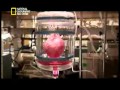 ناشيونال جيوجرافيك الكنز المفقود أمجاد روما القديمة 1 mp3