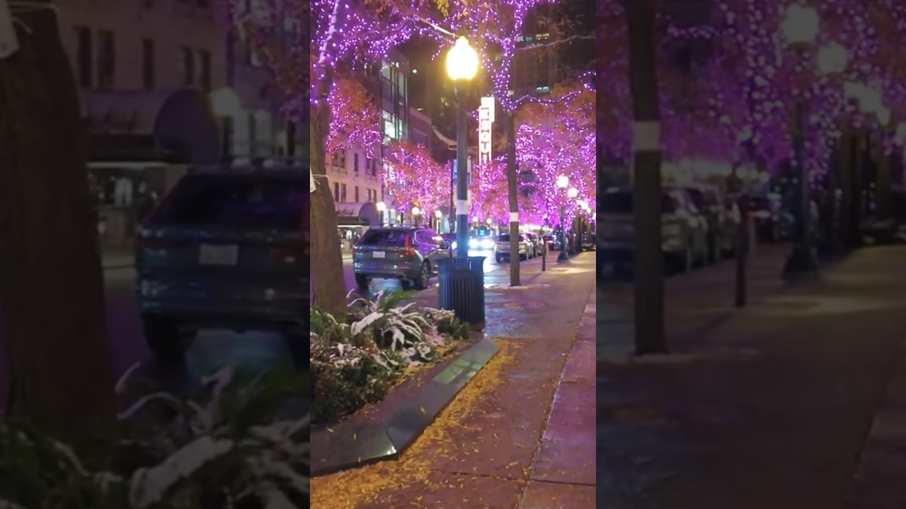 Luxurious winter night walk Gold Coast Chicago 