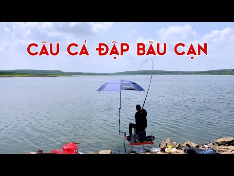 Câu Cá Trắm Đen Tự Nhiên