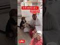 DogBegging #shorts#ytshorts#subscribe#shortsviral#viral#viralvideo#video#shortvideo#trending#dog