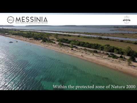allmessinia.com | Divari