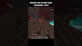 A Funny Bug In Minecraft Java