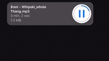 Whipski ft. Lil Skies snippet