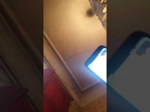 სიდონ  მამებმაკია  მიტო  ვეს  ერის  ადამიან  დსბრკოლეს  სადა  ხედვა