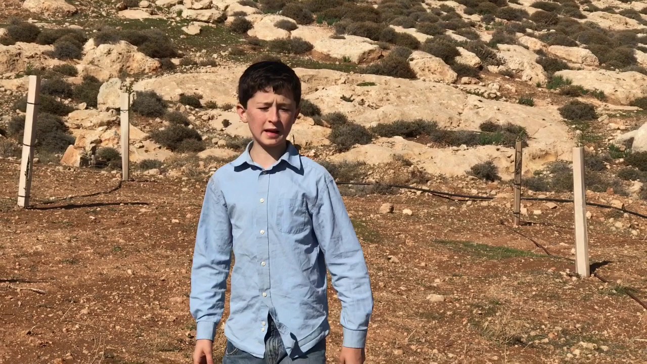 Lavi Gimpel's Bar Mitzvah Project - Plant Trees in Judea