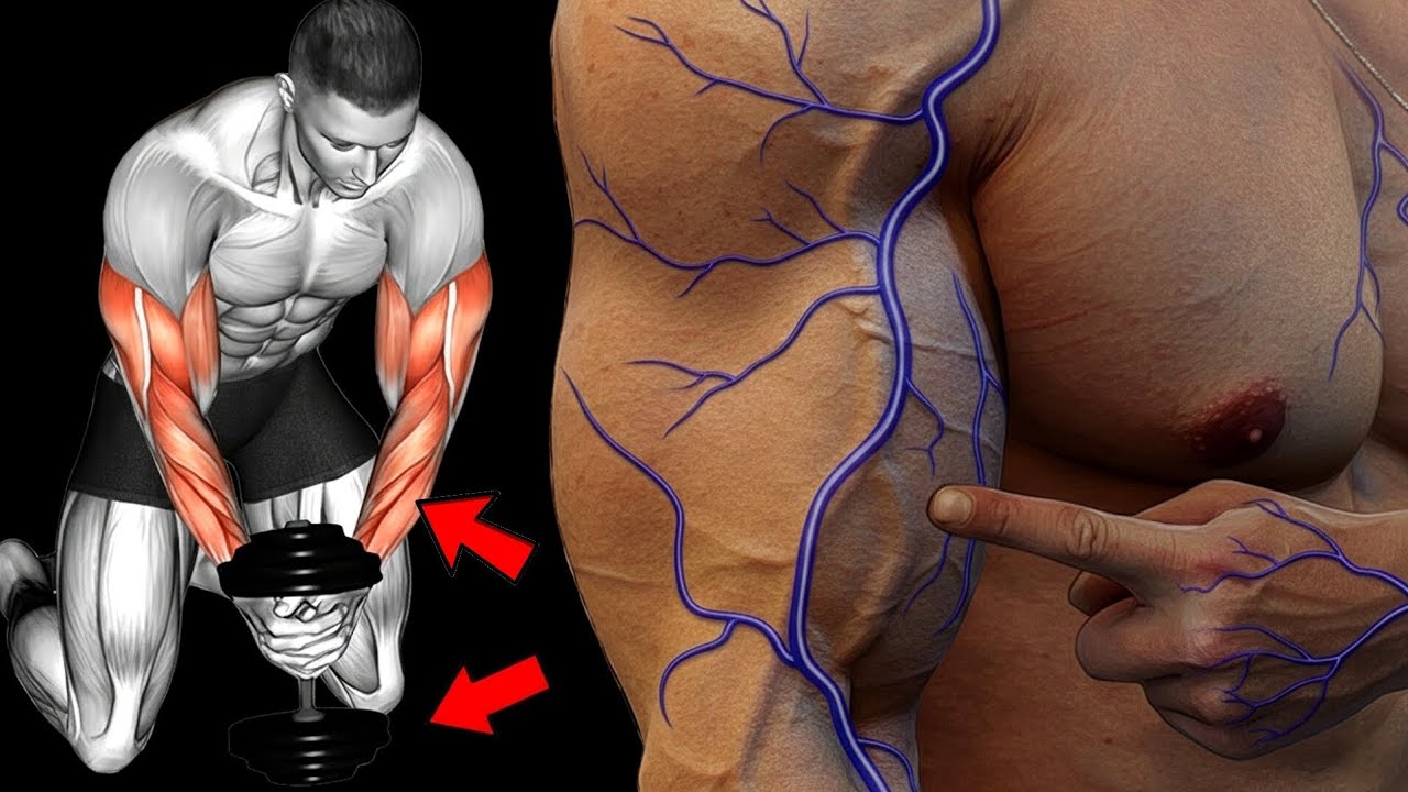 Your arms will grow in 30 days with these powerful exercises