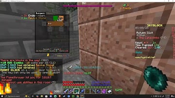 Hypixel Skyblock Trap